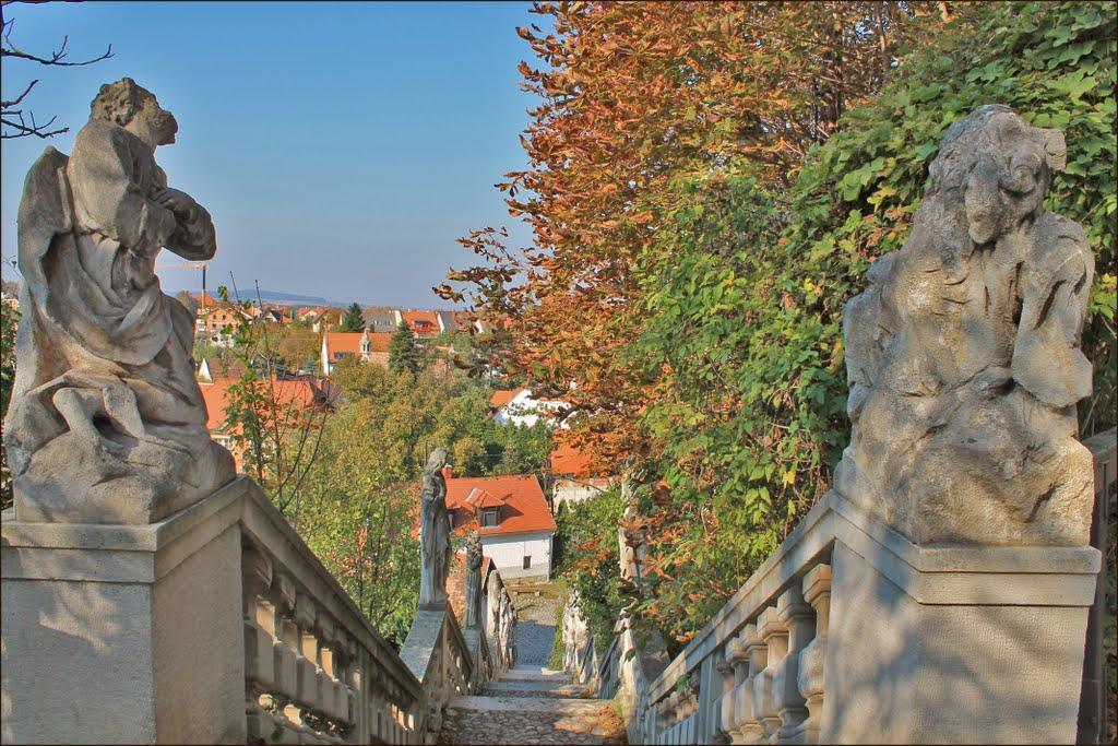 Karmelita Boutique Apartman Sopron Eksteriør billede